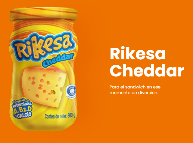 RIKESA QUESO ORIGINAL ENRIQ 300Gx12UN